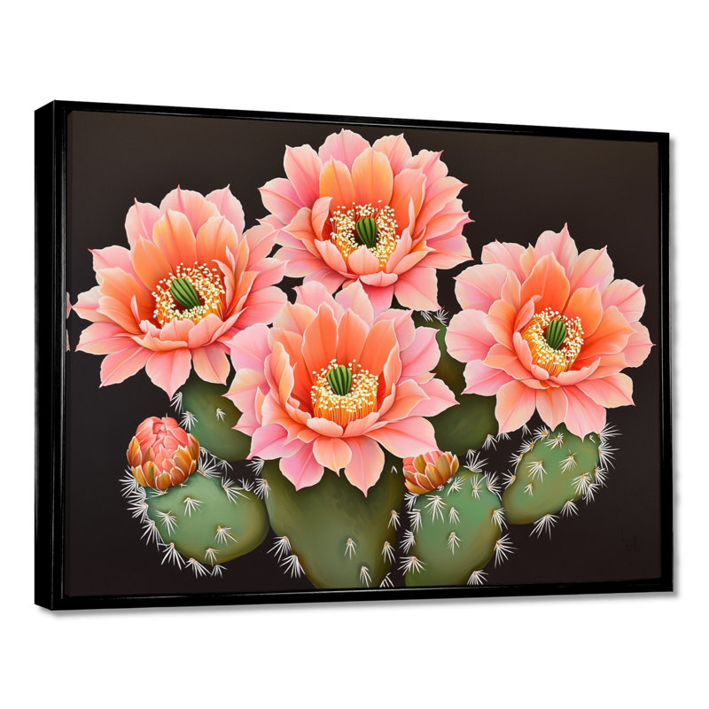 «Rose and Orange Cactus Bloom III - Floral Cactus», reproduction d'art murale, H 30 po x l 40 po, Noir
