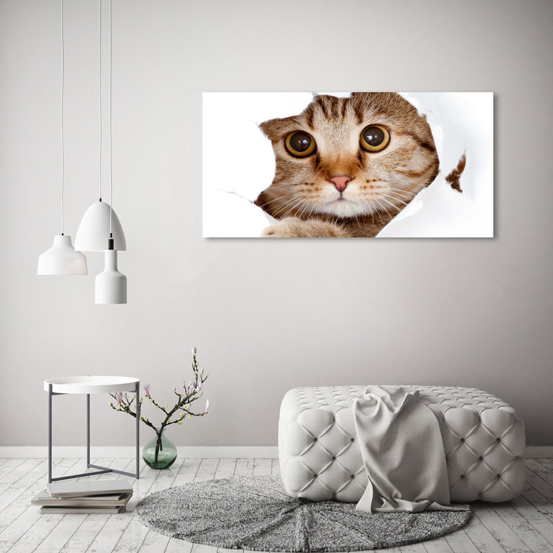 Cat - Wrapped Canvas Print