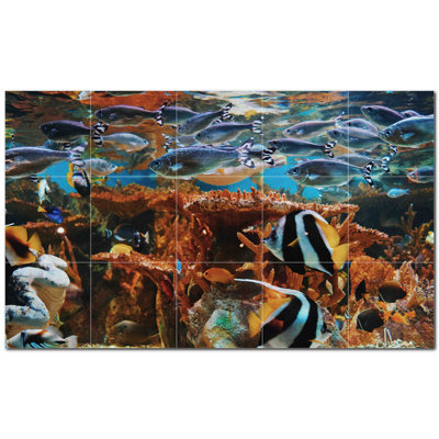 Corail photo 12 x 12