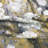 Evangeline Fabric