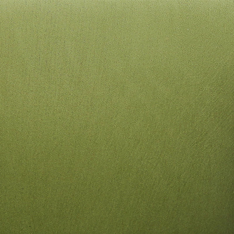 Chaise d'appoint rembourrée, ensemble de 2