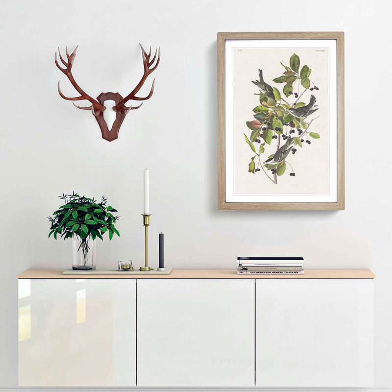 Black-Poll Warbler Birds by John James Audubon - Picture Frame Art Print, Oak Framed, 65cm H x 48cm W x 2cm D