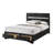 Erjola Piece Bedroom Set-919857897