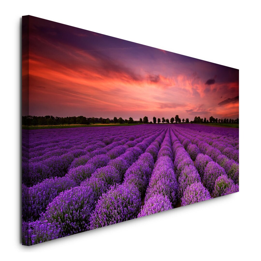 Leinwandbild Lavendel