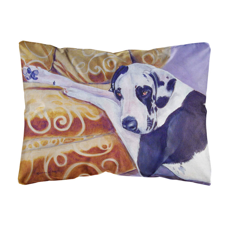 Coussin décoratif intérieur/extérieur magnifique