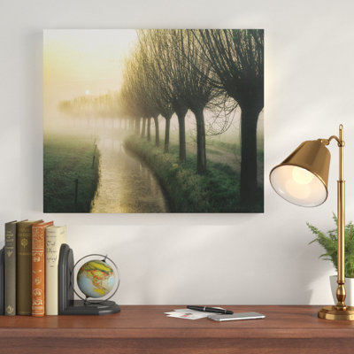 " Willow's Lane "