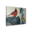 Impression sur toile tendue Armstrong «Two Cardinals»-27644407