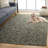 Kearston Performance Chevron Rug-680639752