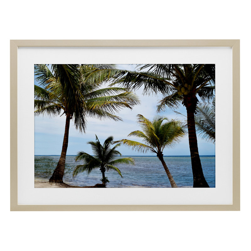 «Honduras Daytime Palms», reproduction d'art sous verre encadrée par Natalie Carpentieri, H 14 po x l 20 po