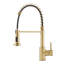 Fairmont Park Aajah Pull Down Kitchen Faucet