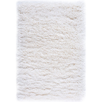 Indoor Rug
