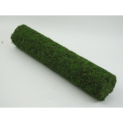 Herbe en mousse de jardin de fée artificielle arrière