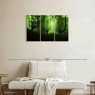 Misty Green Forest
