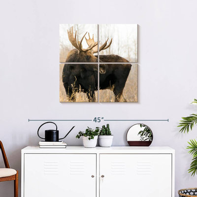 Wyoming Moose