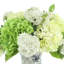 Mixed Hydrangeas In Decorative Vase