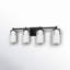 Irela 4-Light Vanity Light in Black-918299684-918299683-877385032