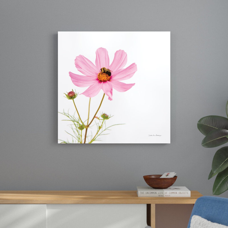 «Pale Cosmos II» par Van Swearingen, Debra - reproduction, H 30 po x l 30 po