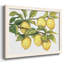 «Ripe For Picks II», peinture sur toile encadrée-872248523-872248525