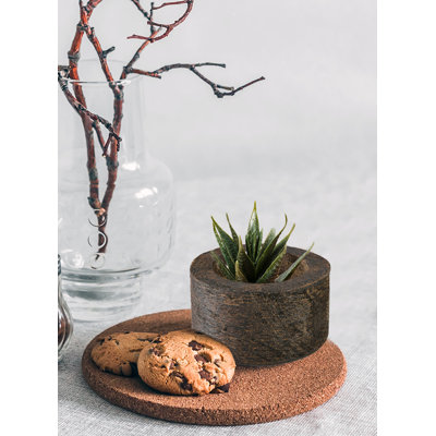 Gracie Oaks Dark Wood Plant Pot (Set Of 12) - 2.8" X 4.5" - Stylish Indoor Wooden Pots Perfect For Small Plants, Succulents, And Home Decor Accents