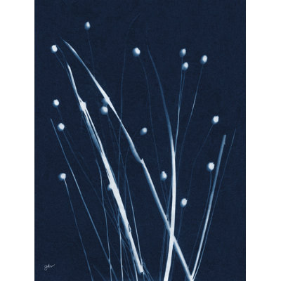 Indigo Firefly par Julie Norkus