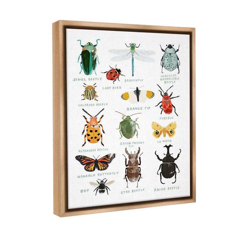 "Types d'insectes éducatifs" par Hanna Melin sur toile, H 21 po x l 17 po, Cadre flottant orme Montalcino