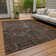 Chayil Machine Washable Indoor/Outdoor Rug