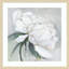 «White Floral Bloom II» par Asia Jensen, reproduction d'art encadrée sur bois-100671895