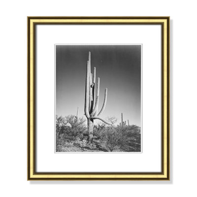 Saguaro National Monument Print by Ansel Adams
