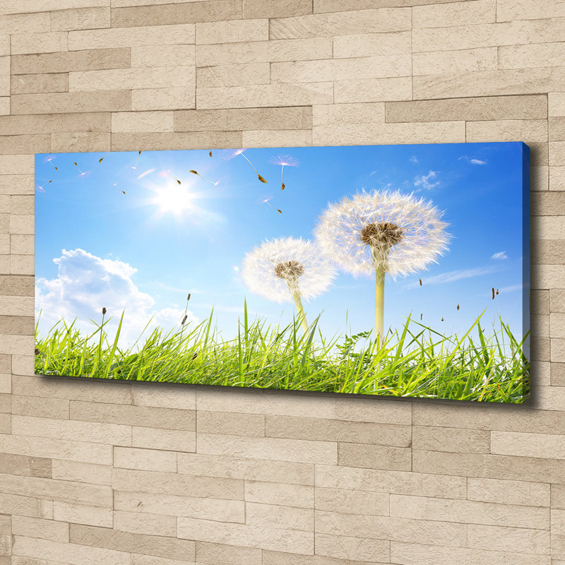 Dandelions - No Frame Print on Canvas