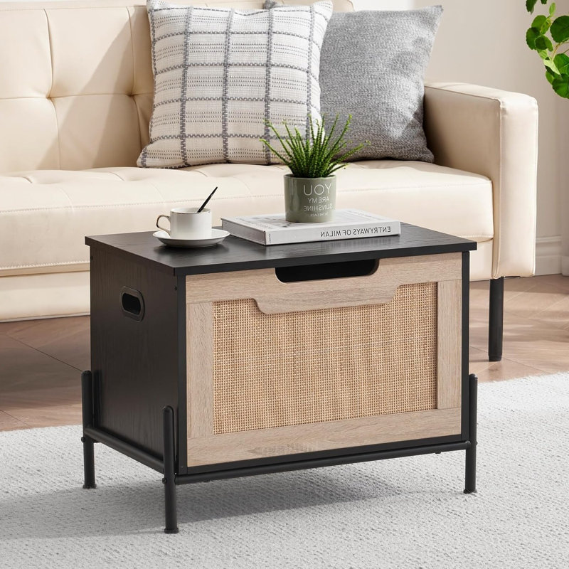 Accent Trunk