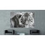 Tigre ABC - Ensemble de 3 peintures sans cadre sur verre