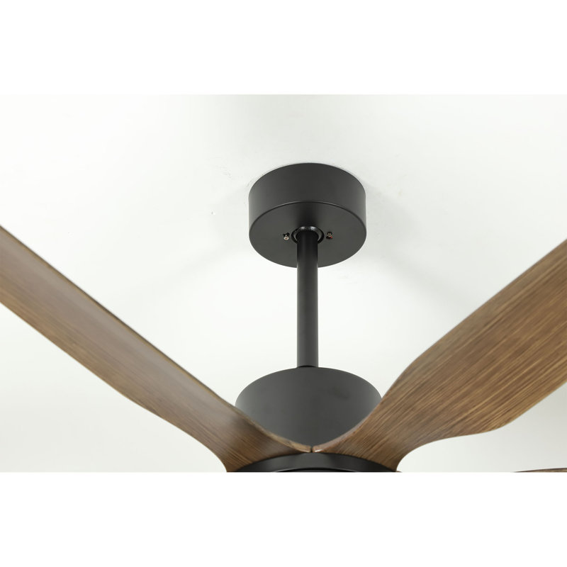 Ventilateurs de plafond en bois 66 "avec lumières, télécommande, intérieur / extérieur, Noir avec pales brunes
