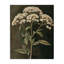 Sophistiqué Floral Portrait Canvas, design par Petal Prints Design-1973907411