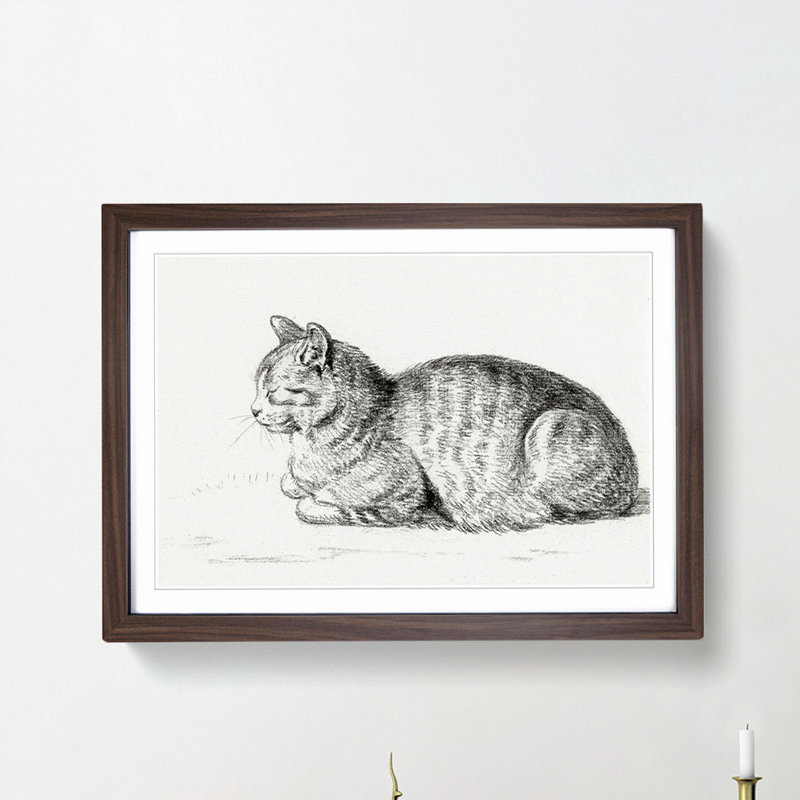 Peaceful Cat by Jean Bernard - Picture Frame Drawing Print, 48cm H x 65cm W x 2cm D, Walnut Framed