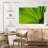 Harnek Fan Palm Leaf-108821791