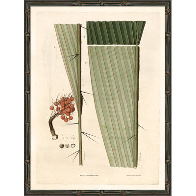 Palm Fronds Giclee Print