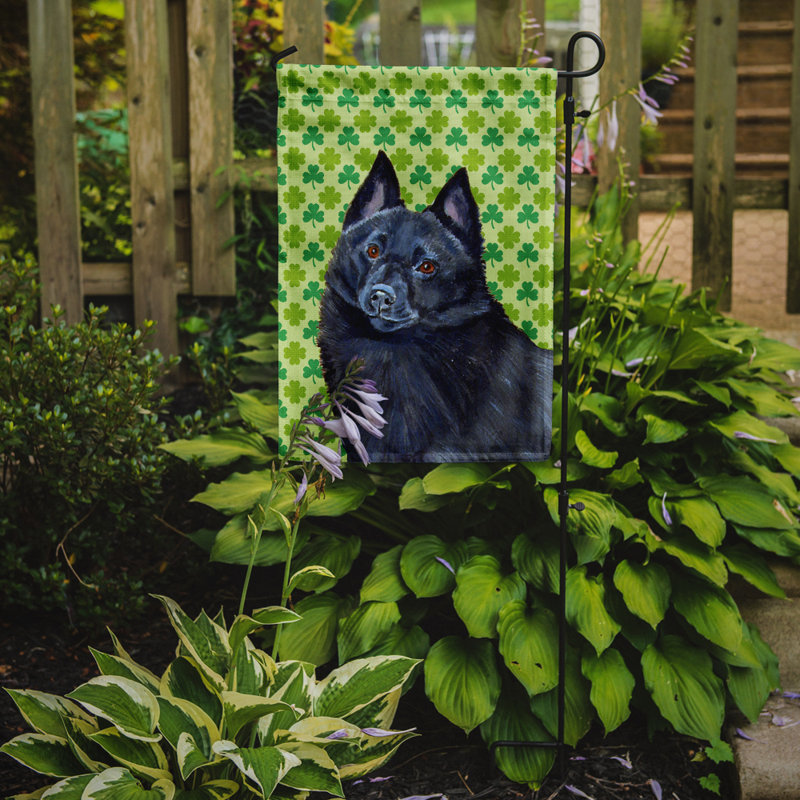 Drapeau de jardin à 2 côtés st. patrick day trèfle, Schipperke