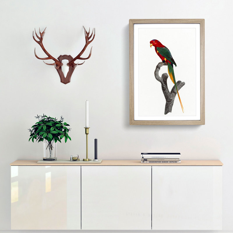 Papuan Lorikeet by F. Levaillant - Framed Print, 36cm H x 27cm W x 2cm D, Oak Framed