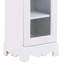 Oelwein Display Cabinet