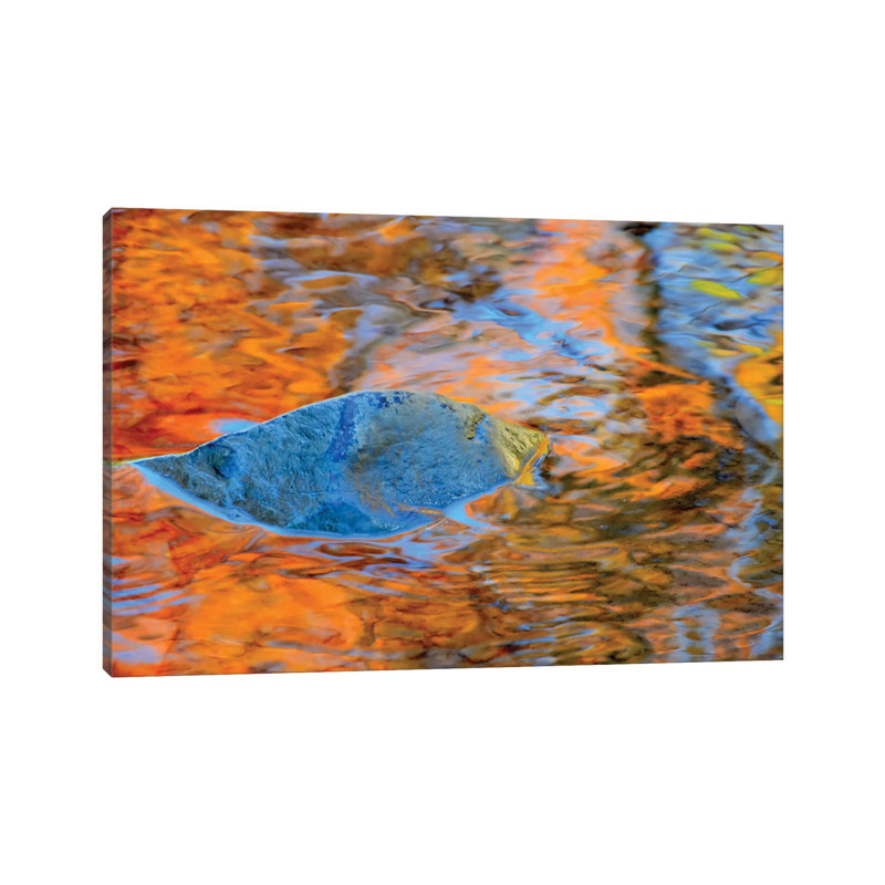 Iris 1 Piece Wrapped Canvas Wall Art, 66.04 cm H x 45.72 cm W x 1.91 cm D