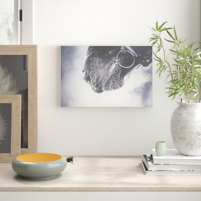 Parvez Taj - Single Picture Frame Print