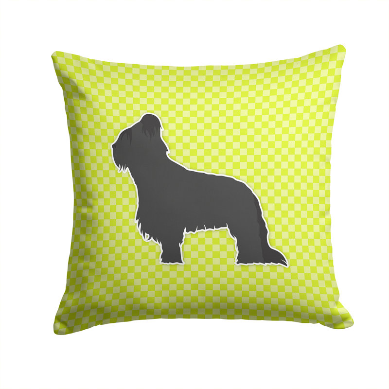 Coussin décoratif intérieur/extérieur brie, H 14 po x l 14 po x P 3 po, Vert