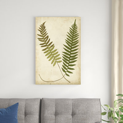 «Fern Portfolio III», peinture sur toile