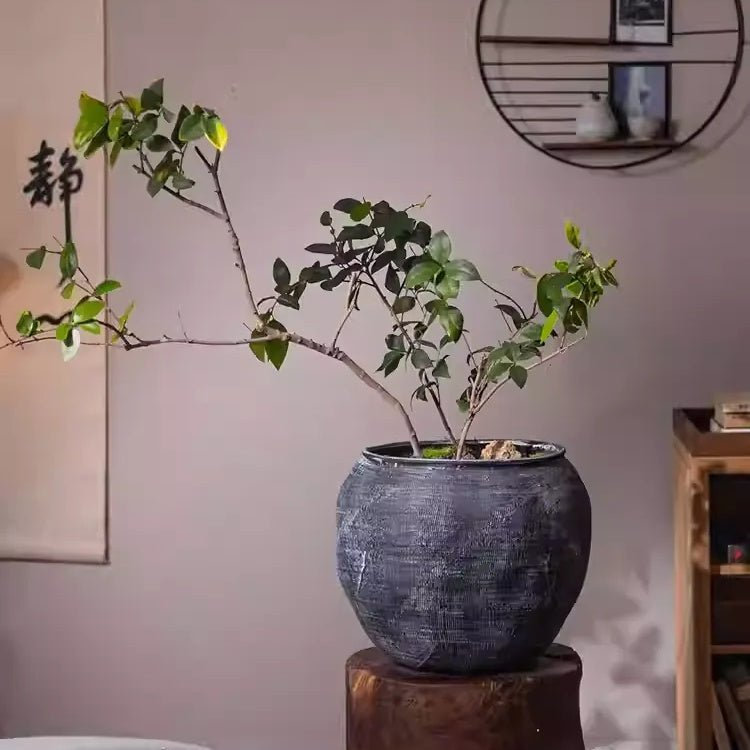 Sierra Round Pot Planter, Gray White