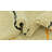 Iraheta Ivory Rug