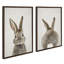 «Bunny Portrait on Linen and Bunny Tail on Linen» par Amy Peterson, ensemble d'art mural sur toile encadrée-580089400