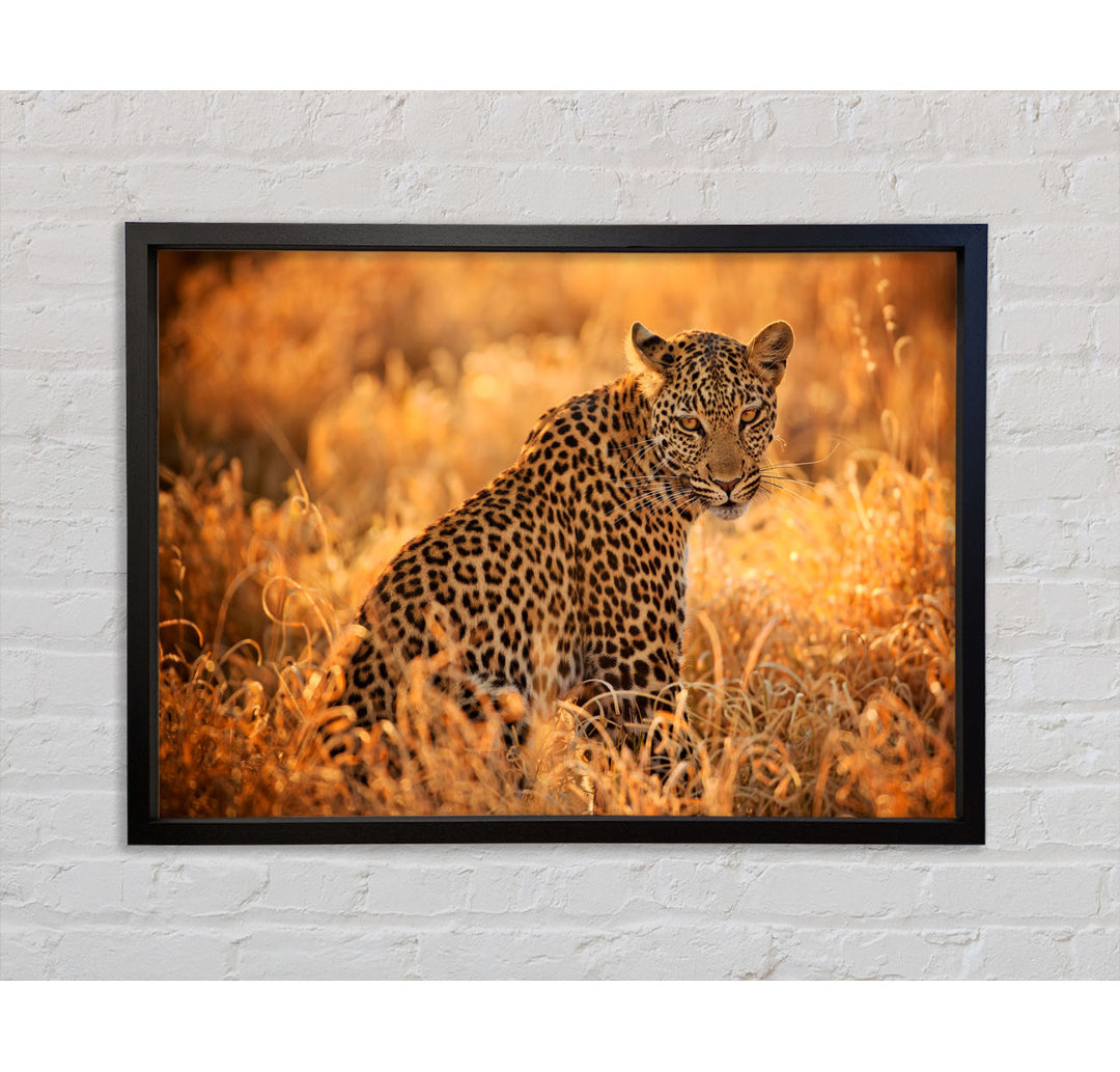 Leopard Sunset - Einzelner Bilderrahmen Kunstdrucke auf Leinwand