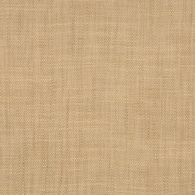 Tissu Amplitude