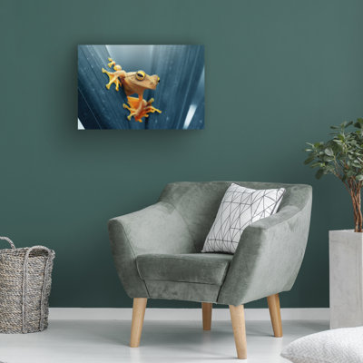 Bolog Andri Priyadi  Frog The Gold Canvas Art