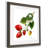 " Strawberry Study II "-1792901317-1793247403-1793252488